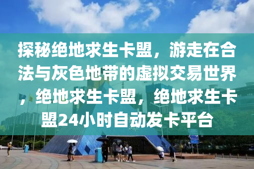 探秘绝地求生卡盟，游走在合法与灰色地带的虚拟交易世界，绝地求生卡盟，绝地求生卡盟24小时自动发卡平台