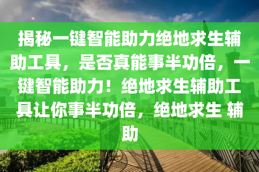 揭秘一键智能助力绝地求生辅助工具，是否真能事半功倍，一键智能助力！绝地求生辅助工具让你事半功倍，绝地求生 辅助