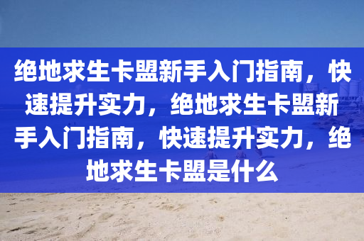 绝地求生卡盟新手入门指南，快速提升实力，绝地求生卡盟新手入门指南，快速提升实力，绝地求生卡盟是什么