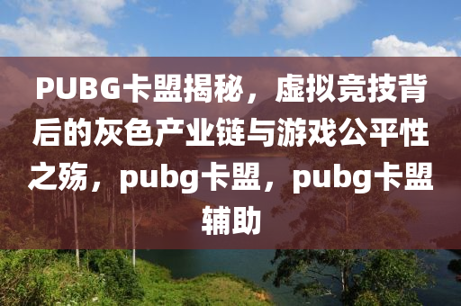 PUBG卡盟揭秘,虚拟竞技背后的灰色产业链与游戏公平性之殇,pubg卡盟,pubg卡盟辅助