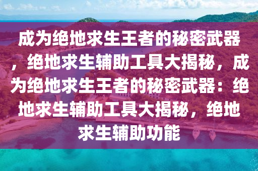 成为绝地求生王者的秘密武器，绝地求生辅助工具大揭秘，成为绝地求生王者的秘密武器：绝地求生辅助工具大揭秘，绝地求生辅助功能