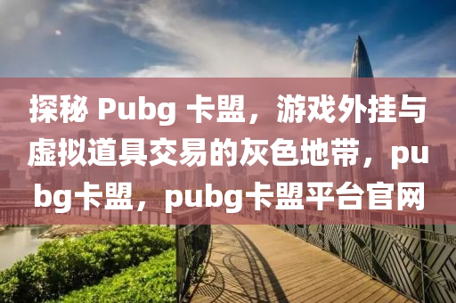 探秘 Pubg 卡盟，游戏外挂与虚拟道具交易的灰色地带，pubg卡盟，pubg卡盟平台官网