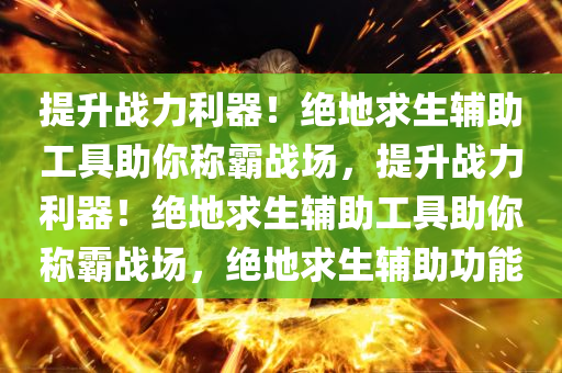 提升战力利器！绝地求生辅助工具助你称霸战场，提升战力利器！绝地求生辅助工具助你称霸战场，绝地求生辅助功能