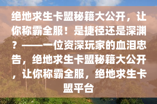 绝地求生卡盟秘籍大公开,让你称霸全服!是捷径还是深渊?——一位资深玩家的血泪忠告,绝地求生卡盟秘籍大公开,让你称霸全服,绝地求生卡盟平台