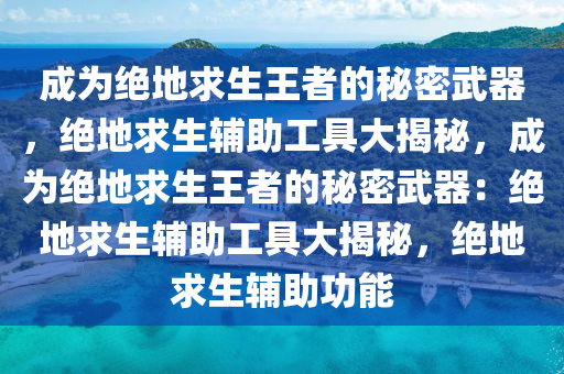 成为绝地求生王者的秘密武器，绝地求生辅助工具大揭秘，成为绝地求生王者的秘密武器：绝地求生辅助工具大揭秘，绝地求生辅助功能