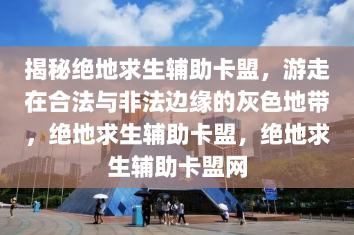 揭秘绝地求生辅助卡盟，游走在合法与非法边缘的灰色地带，绝地求生辅助卡盟，绝地求生辅助卡盟网