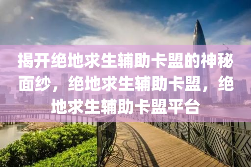 揭开绝地求生辅助卡盟的神秘面纱，绝地求生辅助卡盟，绝地求生辅助卡盟平台