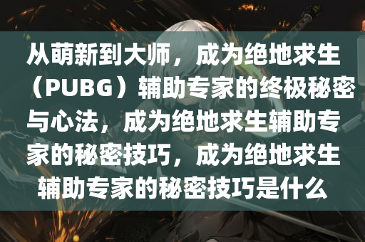 从萌新到大师，成为绝地求生（PUBG）辅助专家的终极秘密与心法，成为绝地求生辅助专家的秘密技巧，成为绝地求生辅助专家的秘密技巧是什么