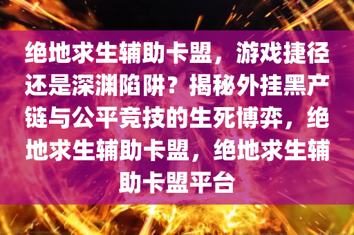 绝地求生辅助卡盟，游戏捷径还是深渊陷阱？揭秘外挂黑产链与公平竞技的生死博弈，绝地求生辅助卡盟，绝地求生辅助卡盟平台