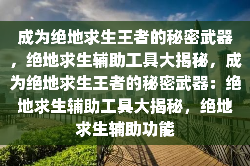 成为绝地求生王者的秘密武器，绝地求生辅助工具大揭秘，成为绝地求生王者的秘密武器：绝地求生辅助工具大揭秘，绝地求生辅助功能