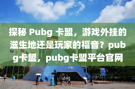 探秘 Pubg 卡盟，游戏外挂的滋生地还是玩家的福音？pubg卡盟，pubg卡盟平台官网