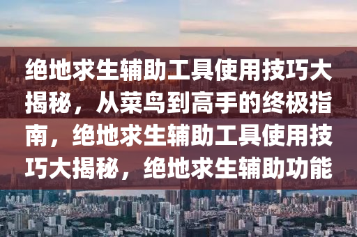 绝地求生辅助工具使用技巧大揭秘，从菜鸟到高手的终极指南，绝地求生辅助工具使用技巧大揭秘，绝地求生辅助功能