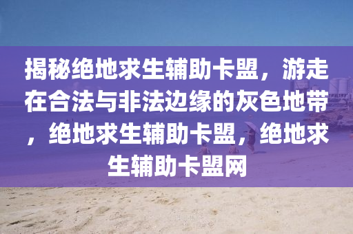 揭秘绝地求生辅助卡盟，游走在合法与非法边缘的灰色地带，绝地求生辅助卡盟，绝地求生辅助卡盟网