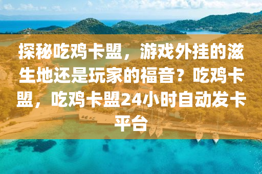 探秘吃鸡卡盟，游戏外挂的滋生地还是玩家的福音？吃鸡卡盟，吃鸡卡盟24小时自动发卡平台