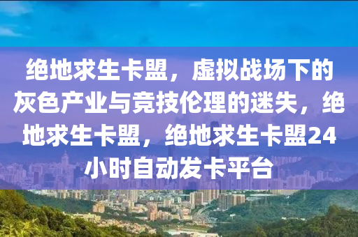 绝地求生卡盟,虚拟战场下的灰色产业与竞技伦理的迷失,绝地求生卡盟,绝地求生卡盟24小时自动发卡平台