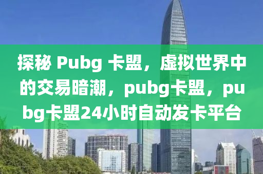 探秘 Pubg 卡盟，虚拟世界中的交易暗潮，pubg卡盟，pubg卡盟24小时自动发卡平台
