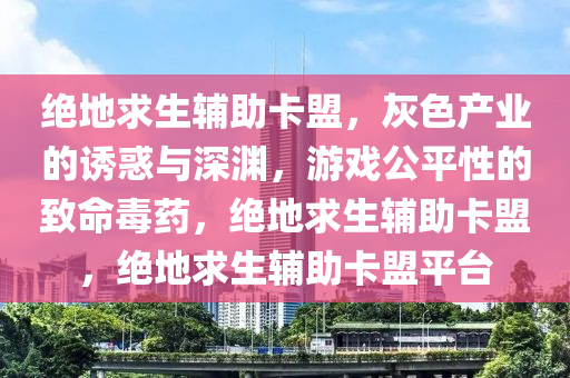 绝地求生辅助卡盟，灰色产业的诱惑与深渊，游戏公平性的致命毒药，绝地求生辅助卡盟，绝地求生辅助卡盟平台