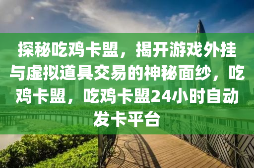 探秘吃鸡卡盟，揭开游戏外挂与虚拟道具交易的神秘面纱，吃鸡卡盟，吃鸡卡盟24小时自动发卡平台
