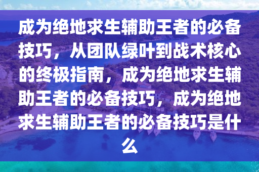 成为绝地求生辅助王者的必备技巧，从团队绿叶到战术核心的终极指南，成为绝地求生辅助王者的必备技巧，成为绝地求生辅助王者的必备技巧是什么