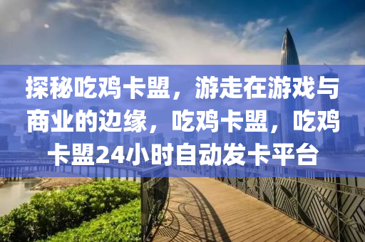 探秘吃鸡卡盟，游走在游戏与商业的边缘，吃鸡卡盟，吃鸡卡盟24小时自动发卡平台