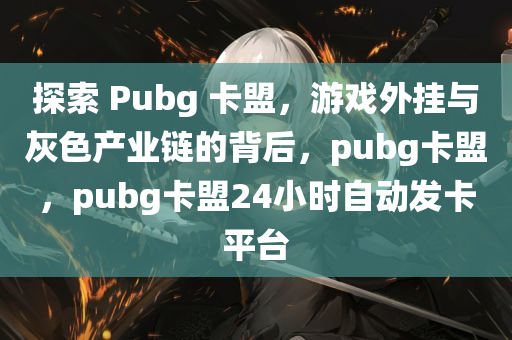 探索 Pubg 卡盟，游戏外挂与灰色产业链的背后，pubg卡盟，pubg卡盟24小时自动发卡平台