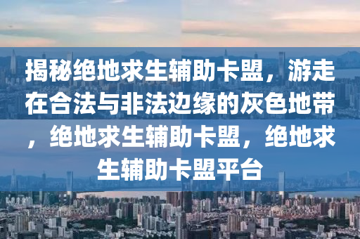 揭秘绝地求生辅助卡盟，游走在合法与非法边缘的灰色地带，绝地求生辅助卡盟，绝地求生辅助卡盟平台
