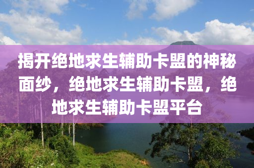 揭开绝地求生辅助卡盟的神秘面纱，绝地求生辅助卡盟，绝地求生辅助卡盟平台