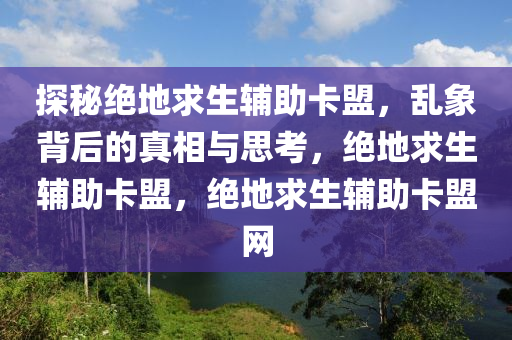探秘绝地求生辅助卡盟，乱象背后的真相与思考，绝地求生辅助卡盟，绝地求生辅助卡盟网