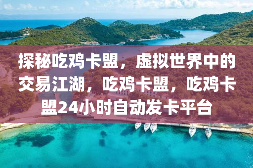 探秘吃鸡卡盟，虚拟世界中的交易江湖，吃鸡卡盟，吃鸡卡盟24小时自动发卡平台