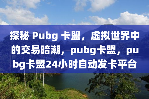 探秘 Pubg 卡盟，虚拟世界中的交易暗潮，pubg卡盟，pubg卡盟24小时自动发卡平台