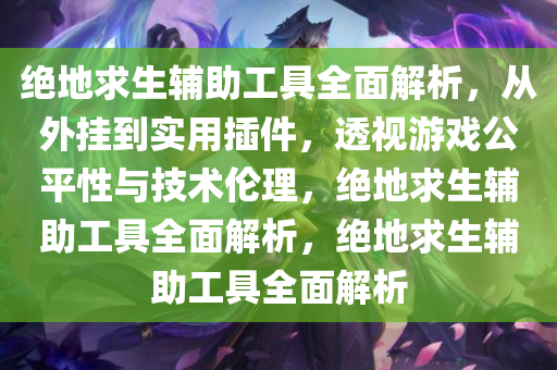 绝地求生辅助工具全面解析，从外挂到实用插件，透视游戏公平性与技术伦理，绝地求生辅助工具全面解析，绝地求生辅助工具全面解析