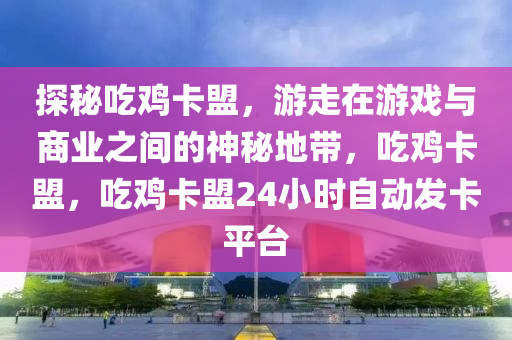 探秘吃鸡卡盟，游走在游戏与商业之间的神秘地带，吃鸡卡盟，吃鸡卡盟24小时自动发卡平台