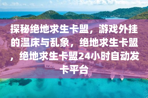 探秘绝地求生卡盟，游戏外挂的温床与乱象，绝地求生卡盟，绝地求生卡盟24小时自动发卡平台