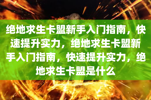 绝地求生卡盟新手入门指南，快速提升实力，绝地求生卡盟新手入门指南，快速提升实力，绝地求生卡盟是什么
