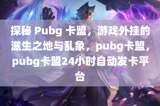 探秘 Pubg 卡盟，游戏外挂的滋生之地与乱象，pubg卡盟，pubg卡盟24小时自动发卡平台