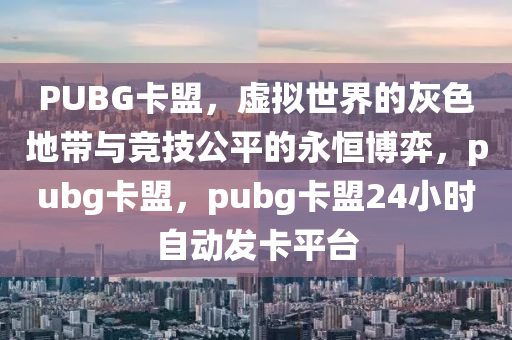 PUBG卡盟，虚拟世界的灰色地带与竞技公平的永恒博弈，pubg卡盟，pubg卡盟24小时自动发卡平台