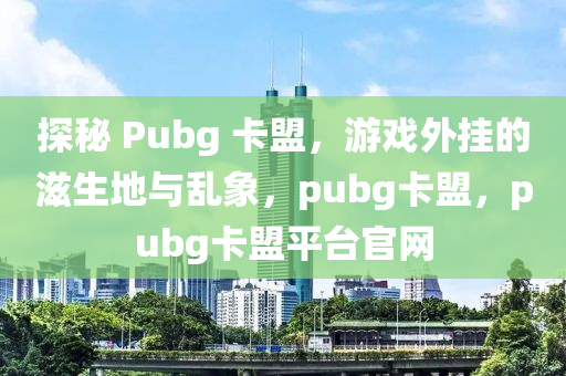探秘 Pubg 卡盟，游戏外挂的滋生地与乱象，pubg卡盟，pubg卡盟平台官网