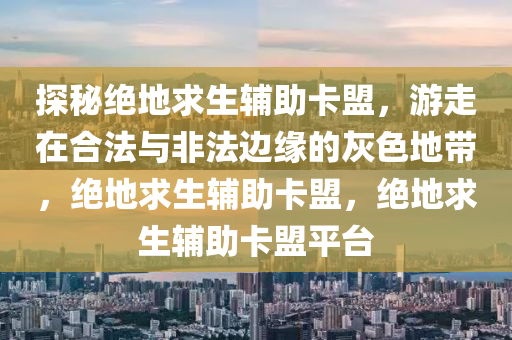 探秘绝地求生辅助卡盟，游走在合法与非法边缘的灰色地带，绝地求生辅助卡盟，绝地求生辅助卡盟平台
