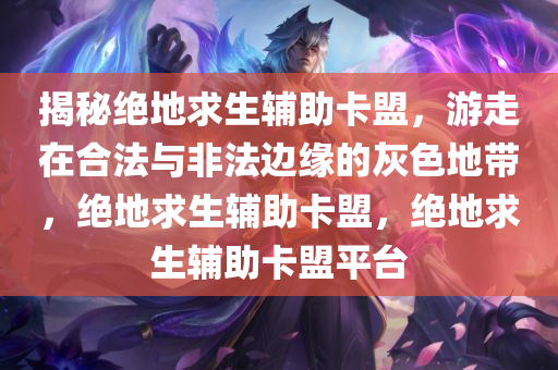 揭秘绝地求生辅助卡盟，游走在合法与非法边缘的灰色地带，绝地求生辅助卡盟，绝地求生辅助卡盟平台