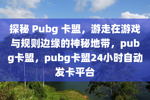 探秘 Pubg 卡盟，游走在游戏与规则边缘的神秘地带，pubg卡盟，pubg卡盟24小时自动发卡平台