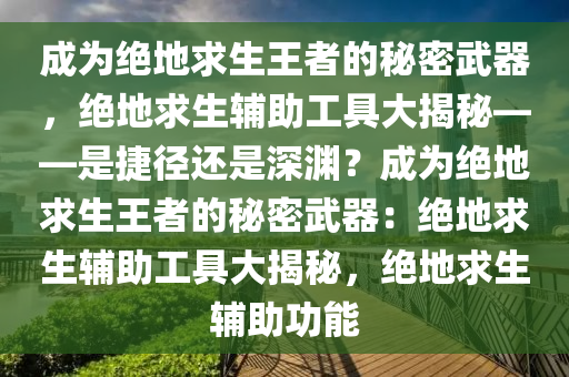 成为绝地求生王者的秘密武器，绝地求生辅助工具大揭秘——是捷径还是深渊？成为绝地求生王者的秘密武器：绝地求生辅助工具大揭秘，绝地求生辅助功能