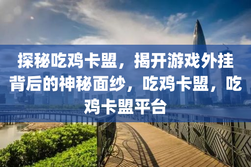 探秘吃鸡卡盟，揭开游戏外挂背后的神秘面纱，吃鸡卡盟，吃鸡卡盟平台