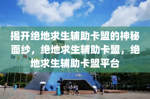 揭开绝地求生辅助卡盟的神秘面纱，绝地求生辅助卡盟，绝地求生辅助卡盟平台