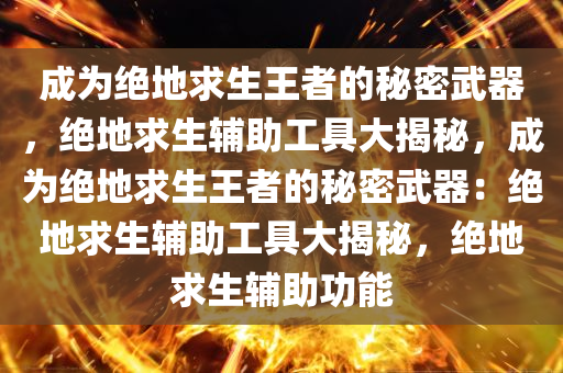 成为绝地求生王者的秘密武器，绝地求生辅助工具大揭秘，成为绝地求生王者的秘密武器：绝地求生辅助工具大揭秘，绝地求生辅助功能
