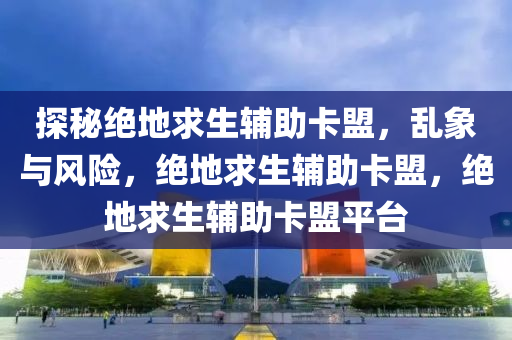 探秘绝地求生辅助卡盟，乱象与风险，绝地求生辅助卡盟，绝地求生辅助卡盟平台