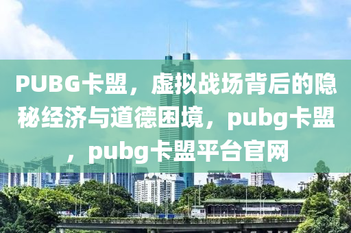 PUBG卡盟，虚拟战场背后的隐秘经济与道德困境，pubg卡盟，pubg卡盟平台官网