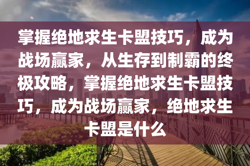掌握绝地求生卡盟技巧，成为战场赢家，从生存到制霸的终极攻略，掌握绝地求生卡盟技巧，成为战场赢家，绝地求生卡盟是什么