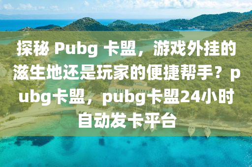 探秘 Pubg 卡盟，游戏外挂的滋生地还是玩家的便捷帮手？pubg卡盟，pubg卡盟24小时自动发卡平台