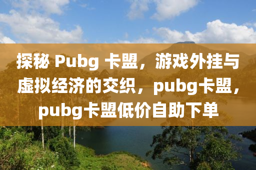 探秘 Pubg 卡盟，游戏外挂与虚拟经济的交织，pubg卡盟，pubg卡盟低价自助下单