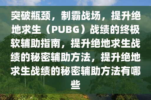 突破瓶颈，制霸战场，提升绝地求生（PUBG）战绩的终极软辅助指南，提升绝地求生战绩的秘密辅助方法，提升绝地求生战绩的秘密辅助方法有哪些